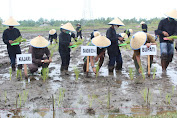 Dandim 0314 Inhil dan Forkopimda Launching Lahan Ketahanan Pangan