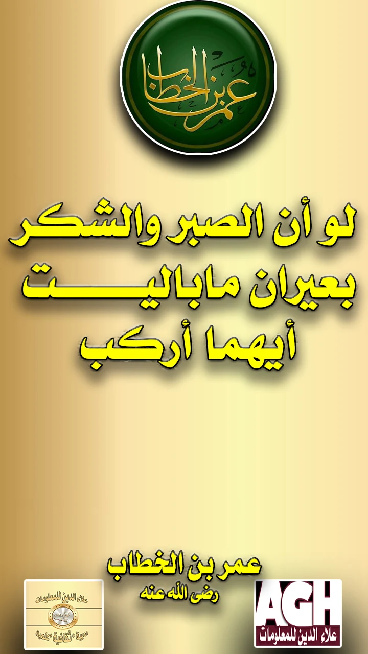 لو أن الصبر والشر بعيران ماباليب أيهما أركب ..عمربن الخطاب رضي الله عنه