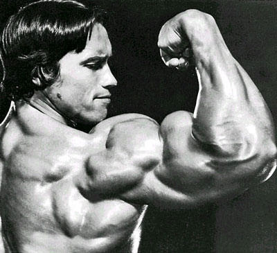 arnold schwarzenegger musculoso