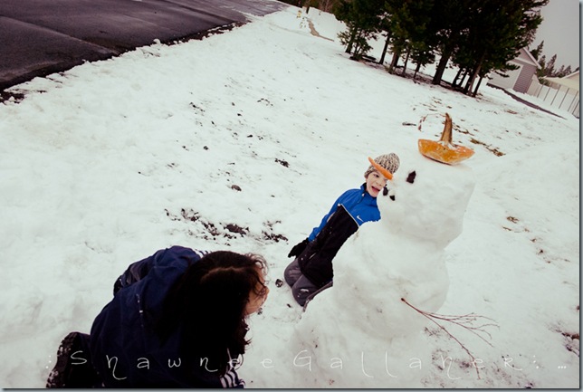 Snowman.4