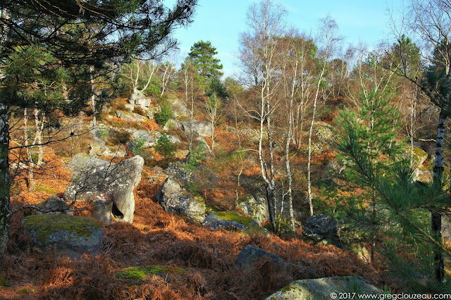 Désert d'Apremont, Forêt de Fontainebleau, Barbizon.