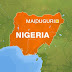 11 killed, 15 injured in Boko Haram attack on Maiduguri