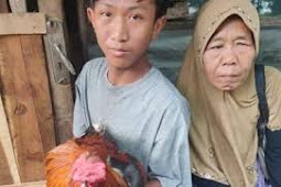 Anak Yatim Siswa MA Matla'ul Anwar Ini Rela Jual Ayam Kesayangannya untuk Beli HP, Demi Belajar Online