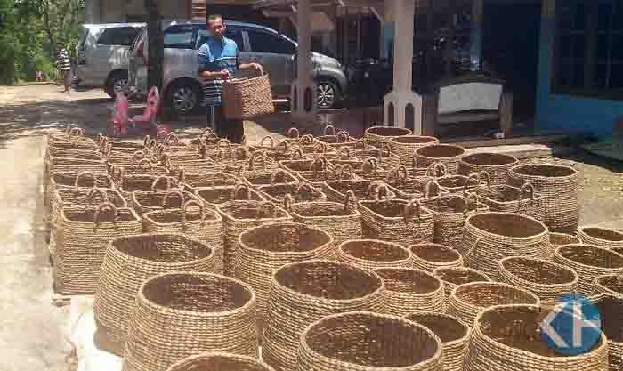 12 Kerajinan  Tangan  Dari Serat Eceng Gondok Dapat Dibuat 