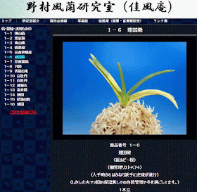  http://fuurannikki.blogspot.jp/