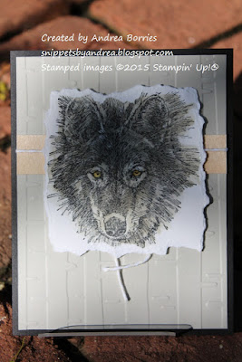 Masculine card made with Wolf stamp set.