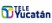 Tele Yucatan at Eutelsat 113 West A - Sat TV Channels Frequency