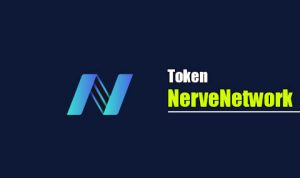NerveNetwork, NVT Coin