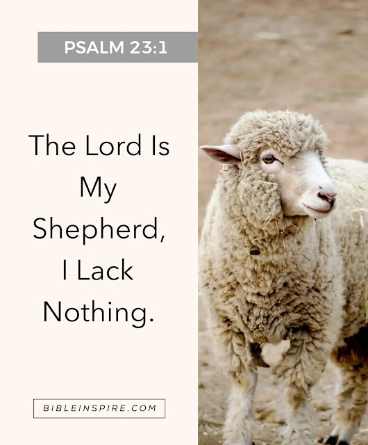 Psalm 23:1: 'The Lord Is My Shepherd, I Lack Nothing.' text beside a portrait of a fluffy sheep, illustrating God's loving care and provision, making it an inspirational Bible verse for kids learning about divine comfort.