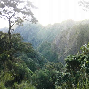 Tempat Wisata Gunung Lompobattang yang Eksotis