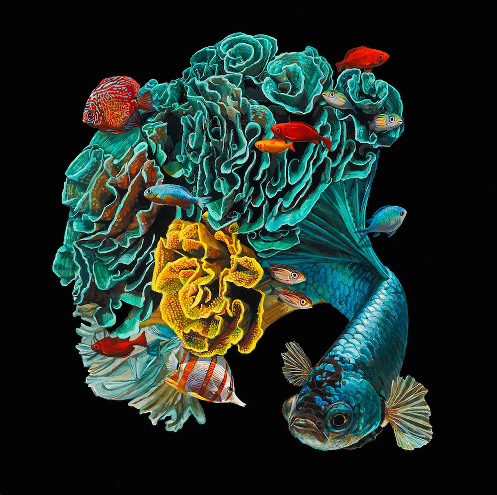 サンゴと融合した謎の美しい熱帯魚 Art ミライノシテン