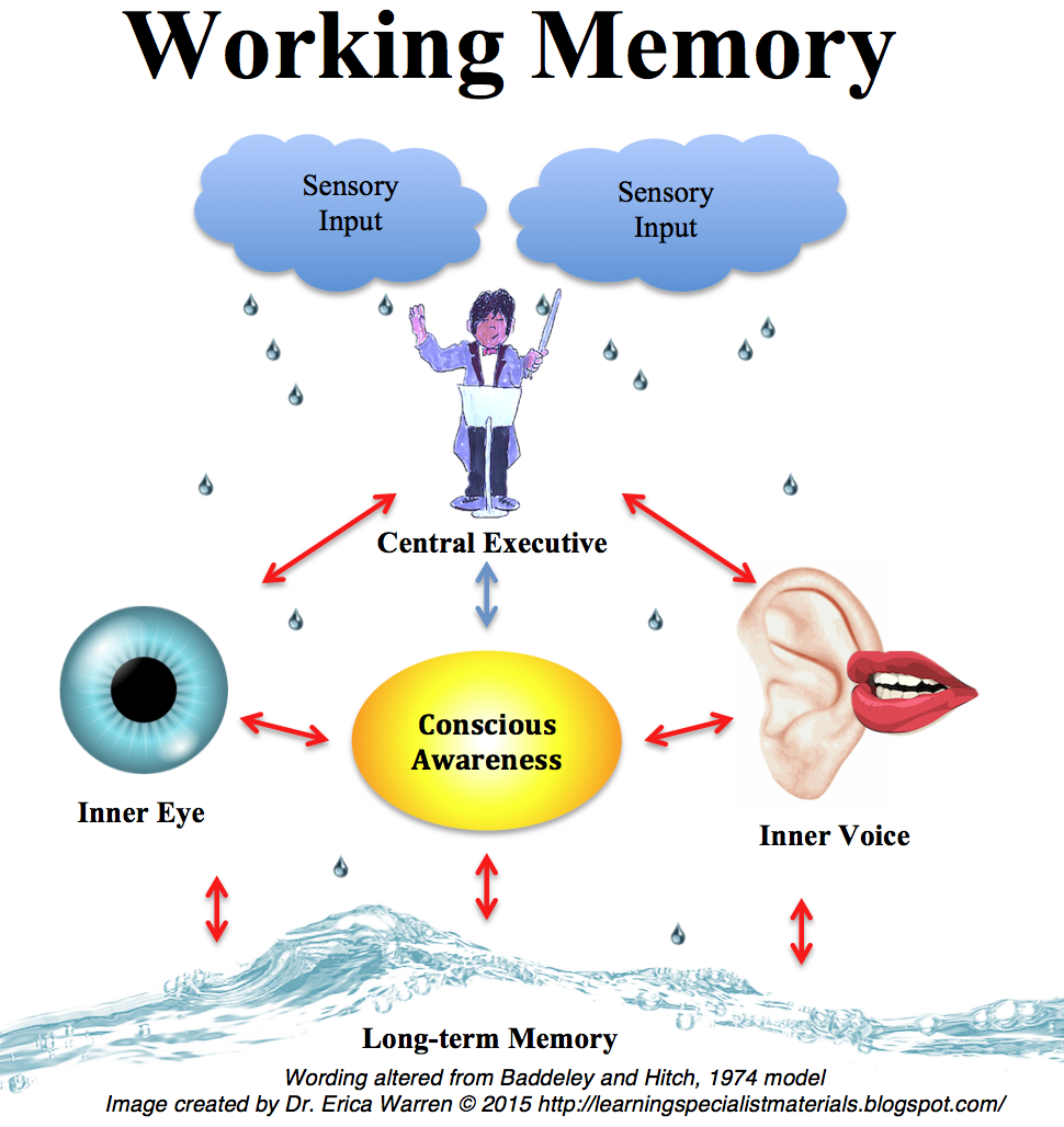 Image result for memory strategies for students