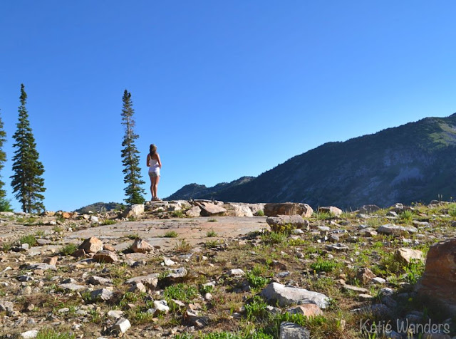 Cecret Lake Albion Basin