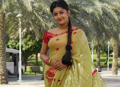 Meera Jasmine in saree