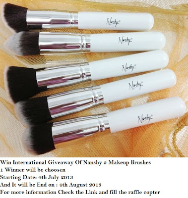 Win International Giveaway Of 5 Nanshy Makeup Brushes