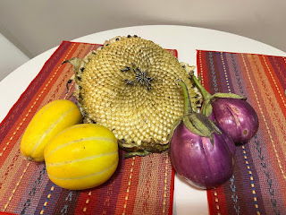 A picture of two small melons, a bare sunflower plant, and two small eggplants sitting atop a white kitchen table.