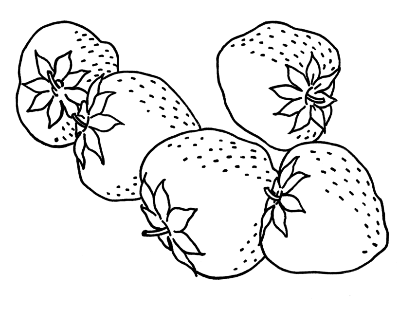 Download Fruits Coloring Sheet Pictures | Learn To Coloring