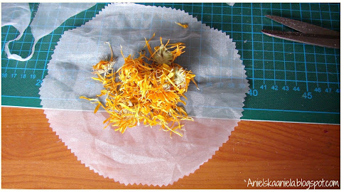 6 Natural Ways to Scent Your Home – No Candles Needed