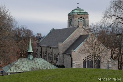 _DSC0064ss