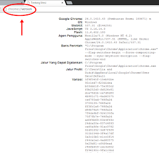 Tentang Google Chrome,setting chrome,pengaturan Google Chrome,about google chrome