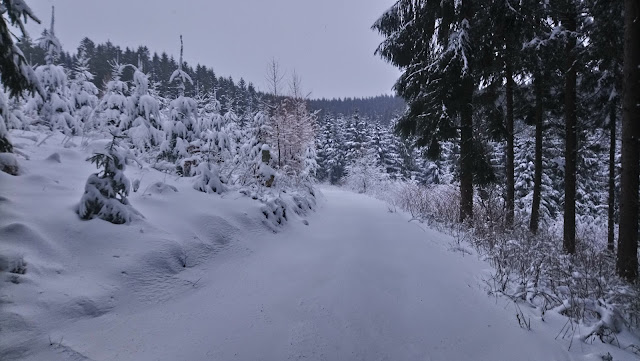 Sauerland wandern Wetter blog Schmallenberg Rimberg Loipe X23 Schieferweg