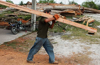 Pega proteccionismo de Trump a madereros de Quintana Roo: 36 mil pies de producto certificado estancado