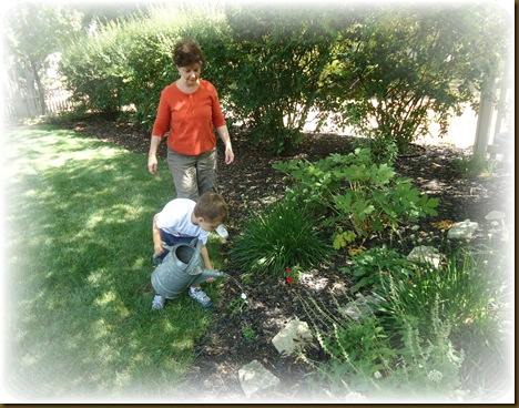 Watering plants 5