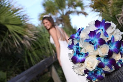 Cobalt Blue Bridesmaid Dresses on Your Bridesmaids Dresses   Weddings    Wedding Forums   Weddingwire