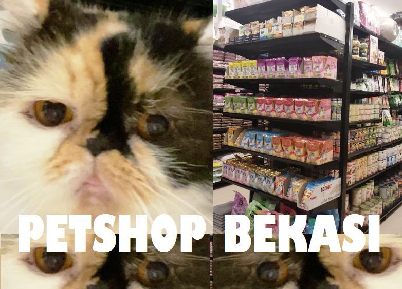 Daftar Petshop Bekasi | Tempat Grooming, Klinik, Penitipan Hewan