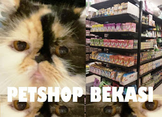 Daftar Petshop Bekasi | Tempat Grooming, Klinik, Penitipan Hewan