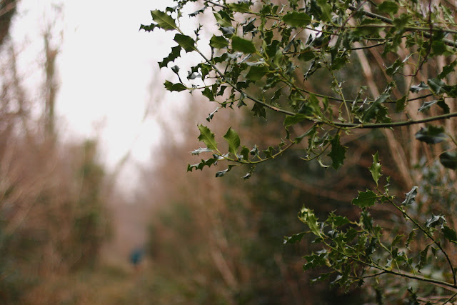 holy branches in the woods