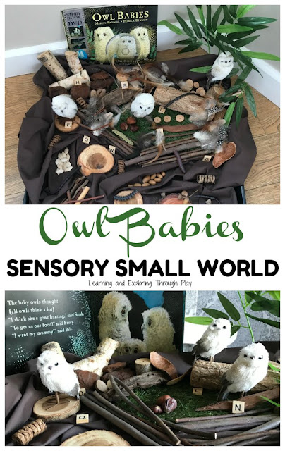 Owl Babies Sensory Small World