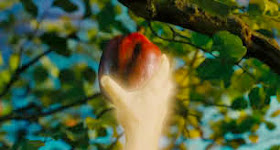 Noah - The Forbidden Fruit | A Constantly Racing Mind