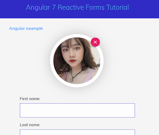 Angular 7|8|9 Reactive Forms Validation