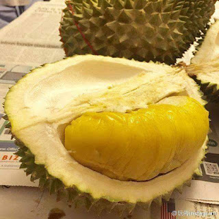 Musim Durian Mai dah 