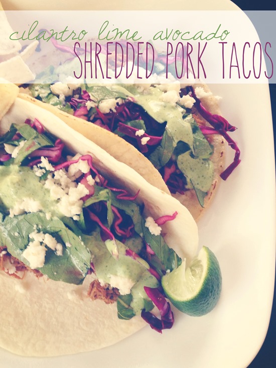 Cilantro Lime Shredded Pork Tacos