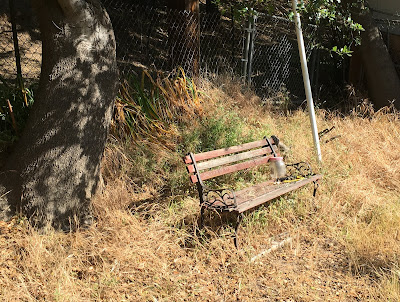 my bench in the sunshine - I sit Here Every Day - gvan42