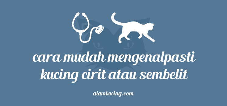 Alam Kucing