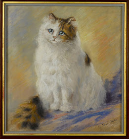 Jimmy the cat. Georgina Shaw Baker.