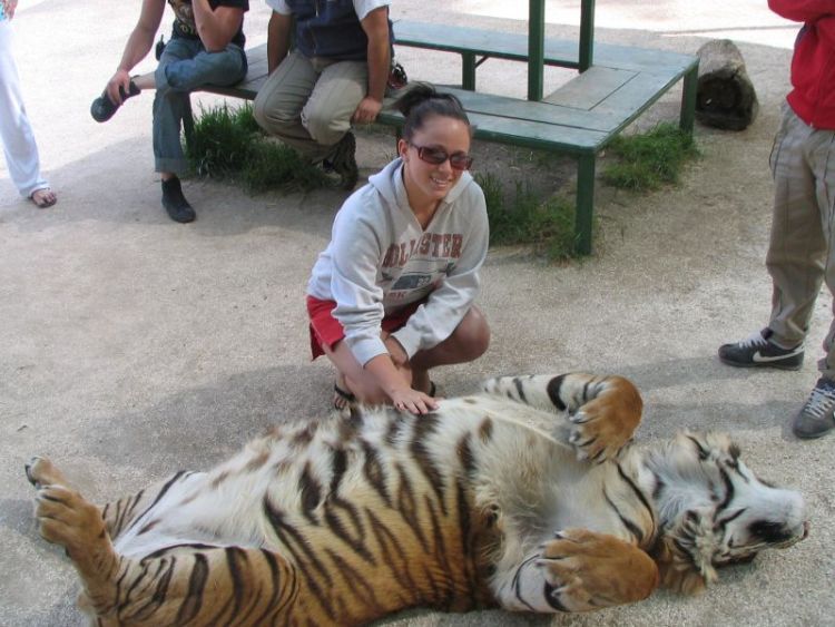 Unbelieavable Pictures from Lujan Zoo in Argentina