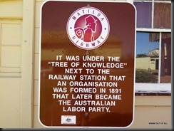 180510 111 Barcaldine Tree of Knowledge