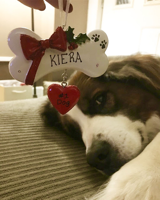 How to cope: The first Christmas after losing a pet