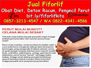    0822-4341-4586 (WA), Jual Fiforlif Porong Sidoarjo