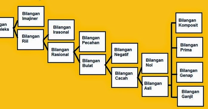 Pengertian Bilangan dan Macam-macam bilangan beserta 