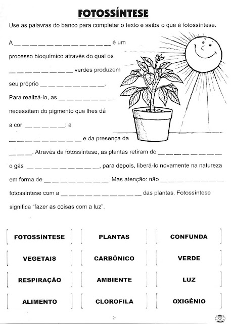 Atividades sobre plantas educação infantil