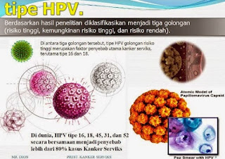 virus hpv