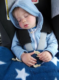 willspombearsleep
