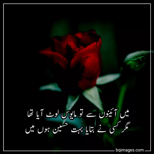 poetry dp for whatsapp