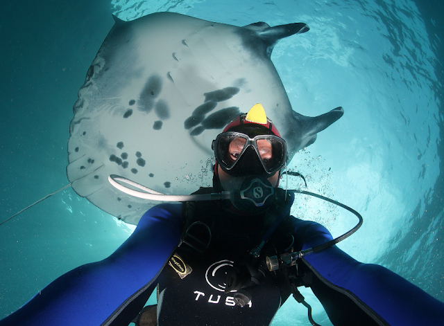 Jun V Lao, Photography, Underwater Photography, Scuba Diving