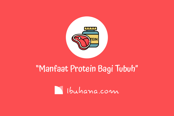 manfaat protein bagi tubuh agar tetap sehat